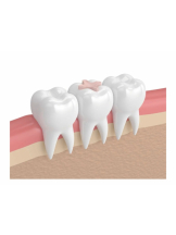 春夏冬 - まいの女の子ブログ画像