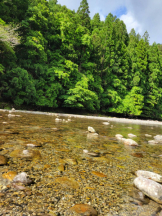 春夏冬 - まいの女の子ブログ画像