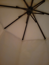 春夏冬 - まいの女の子ブログ画像