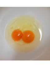 春夏冬 - まいの女の子ブログ画像