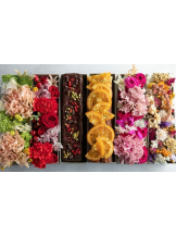 春夏冬 - さくらの女の子ブログ画像