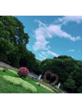 春夏冬 - さくらの女の子ブログ画像