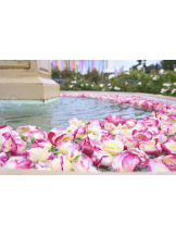 春夏冬 - さくらの女の子ブログ画像