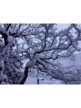 春夏冬 - さくらの女の子ブログ画像