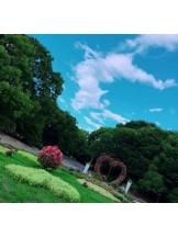 春夏冬 - さくらの女の子ブログ画像