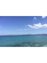 春夏冬 - さくらの女の子ブログ画像