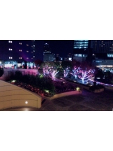 春夏冬 - さくらの女の子ブログ画像