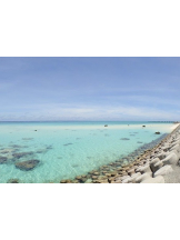 春夏冬 - さくらの女の子ブログ画像