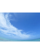 春夏冬 - さくらの女の子ブログ画像