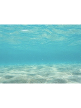 春夏冬 - さくらの女の子ブログ画像