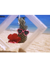 春夏冬 - さくらの女の子ブログ画像