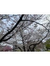 梅田堂山女学院 - れみ【梅田堂山女学院】の女の子ブログ画像