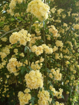 エロチカセブン - NO.5みなみの女の子ブログ画像