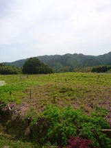 エロチカセブン - NO.5みなみの女の子ブログ画像