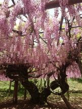 エロチカセブン - NO.5みなみの女の子ブログ画像