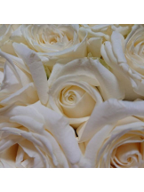 エロチカセブン - NO.5みなみの女の子ブログ画像