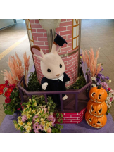 エロチカセブン - NO.5みなみの女の子ブログ画像