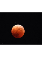 エロチカセブン - NO.5みなみの女の子ブログ画像