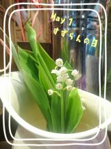 エロチカセブン - NO.5みなみの女の子ブログ画像