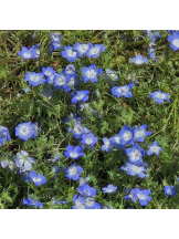 エロチカセブン - NO.5みなみの女の子ブログ画像