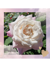 エロチカセブン - NO.5みなみの女の子ブログ画像