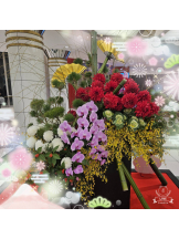 エロチカセブン - NO.5みなみの女の子ブログ画像