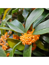 エロチカセブン - NO.5みなみの女の子ブログ画像