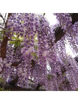 エロチカセブン - NO.5みなみの女の子ブログ画像