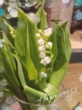 エロチカセブン - NO.5みなみの女の子ブログ画像