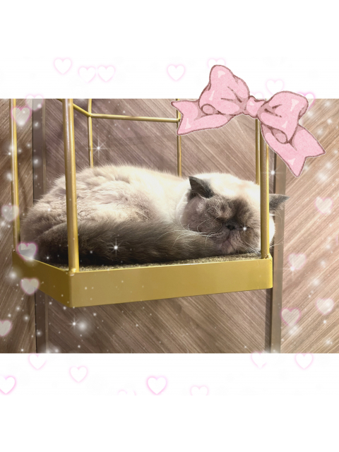 女の子ブログ添付画像1