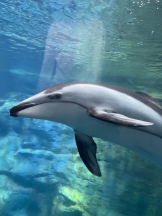 Pick up - つばさの女の子ブログ画像