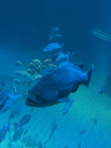 Pick up - つばさの女の子ブログ画像