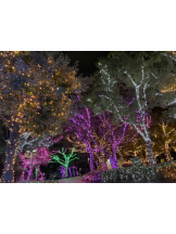 Pick up - つばさの女の子ブログ画像