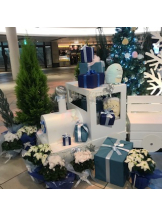 club Lily - まみの女の子ブログ画像