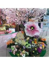 club Lily - まみの女の子ブログ画像