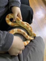 Pick up - りなの女の子ブログ画像