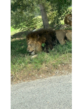 Pick up - りなの女の子ブログ画像