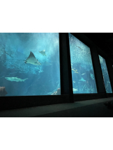 Pick up - りなの女の子ブログ画像