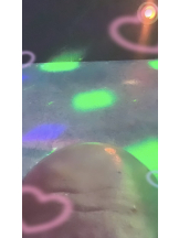 Pick up - まおの女の子ブログ画像