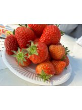 Pick up - まおの女の子ブログ画像