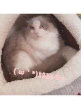 Pick up - はるの女の子ブログ画像