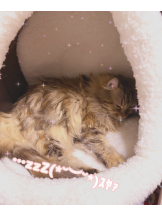 Pick up - はるの女の子ブログ画像