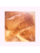 Pick up - はるの女の子ブログ画像