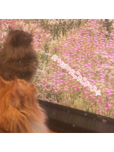 Pick up - はるの女の子ブログ画像