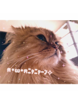 Pick up - はるの女の子ブログ画像