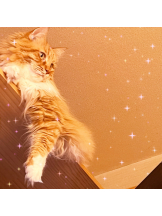 Pick up - はるの女の子ブログ画像