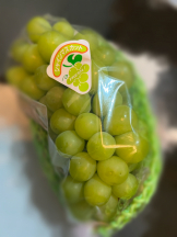 GOGOキャバクラ -電車編- - れんかの女の子ブログ画像