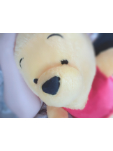 GOGOキャバクラ -電車編- - れんかの女の子ブログ画像