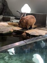 エロチカセブン - NO.１４咲希の女の子ブログ画像