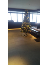 エロチカセブン - Ｎo.５０ほなみの女の子ブログ画像